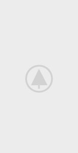 wood-gallery-placeholder-4